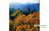長沙往返張家界、天子山、寶峰湖/黃龍洞三日游