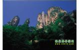 網(wǎng)絡(luò)熱門純玩游：張家界、天子山、袁家界、楊家界 自助三日游