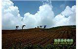 張家界、天子山、寶峰湖/黃龍洞、鳳凰古城、德夯大峽谷 苗族風(fēng)情五日游