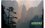 張家界國家森林公園、寶峰湖/黃龍洞、鳳凰古城、三峽八日游