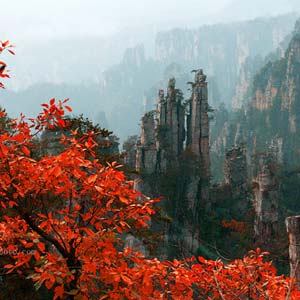 休閑自駕E線：張家界、袁家界、天子山、寶峰湖、鳳凰古城、沱江泛舟四晚五日游